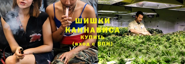мет Бородино