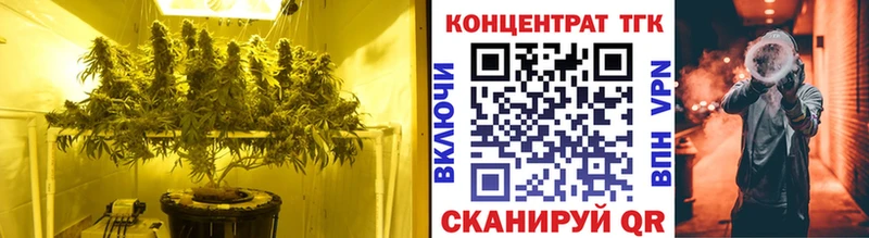 ТГК THC oil  Купить закладки  Липки 